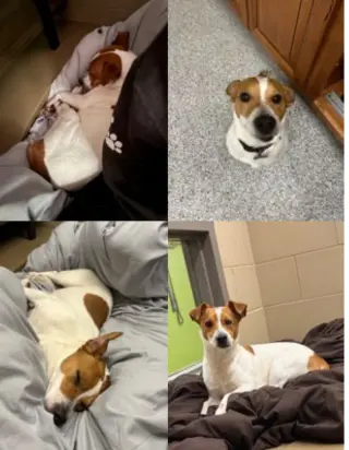 Gus *