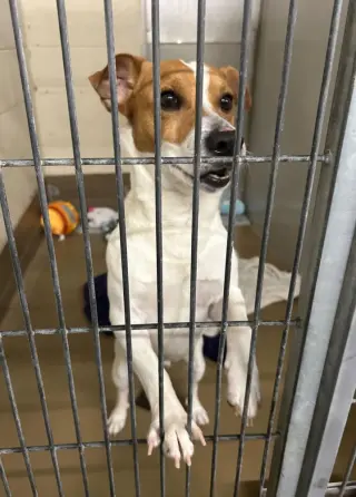 Gus *