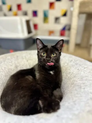 tiny
