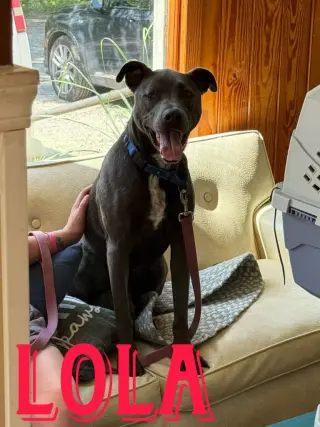Tiana (Lola)