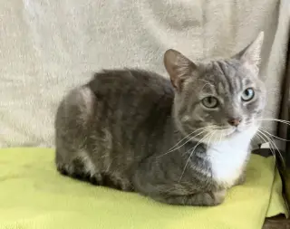 Seymour