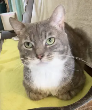 Seymour