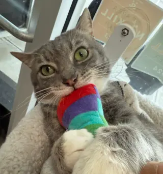 Seymour
