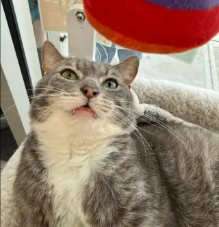 Seymour