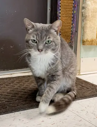 Seymour