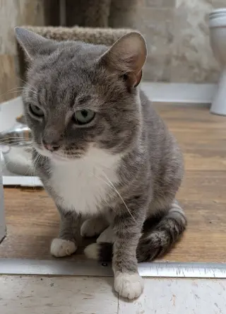 Seymour