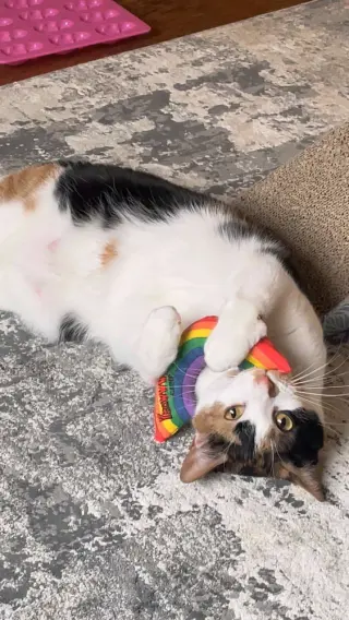 Sweetie Pie
