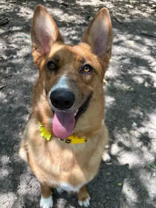 Lucy