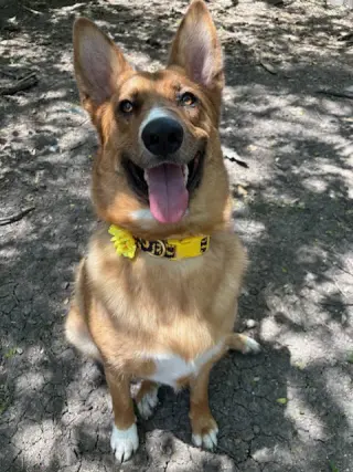 Lucy