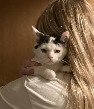 Darrell bonded with Darryl
