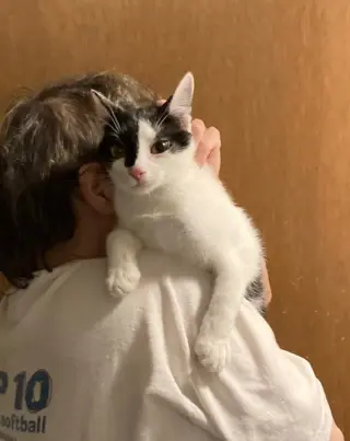 Darrell bonded with Darryl