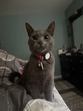 Tilly