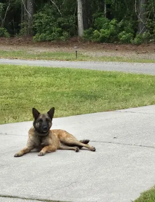Bela (VA)