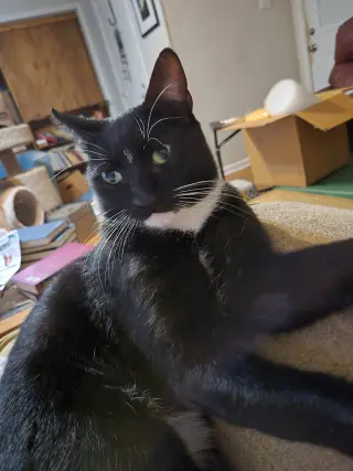Charlie