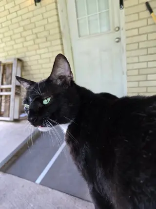 Charlie