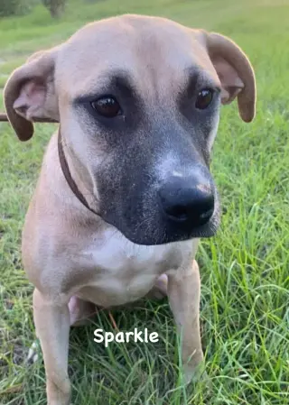 Sparkle