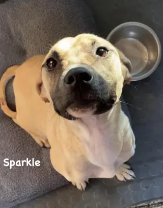 Sparkle