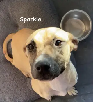 Sparkle