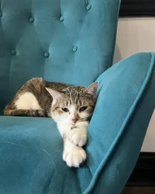 Fiona