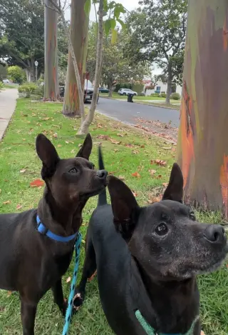 Beckham and Cooper