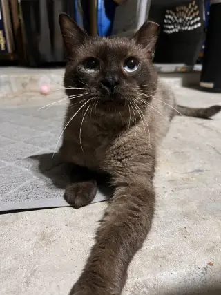 Tito