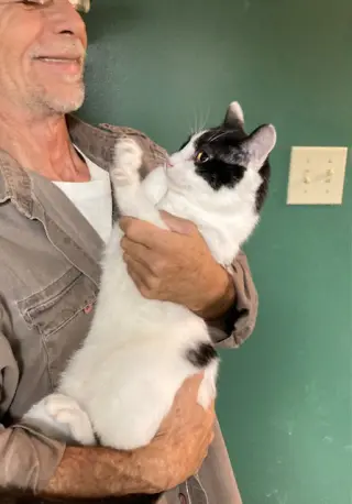Mervin bonded with Marla