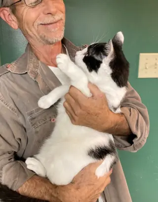 Mervin bonded with Marla
