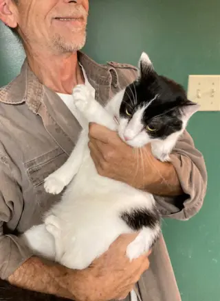 Mervin bonded with Marla