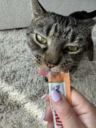 Hershey