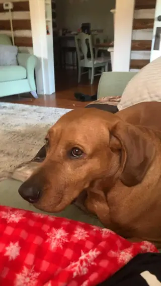 Red: "My Home to Yours"