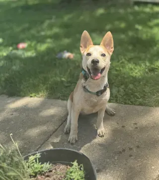 Charlie *I’m always smiling*
