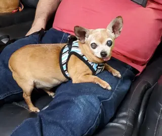Coco