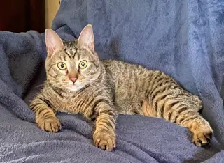 Eileen (Tripod & Gentle Hearted Warrior)