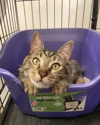Eileen (Tripod & Gentle Hearted Warrior)