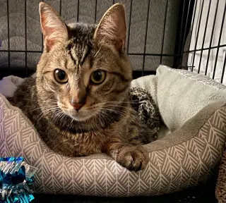 Eileen (Tripod & Gentle Hearted Warrior)