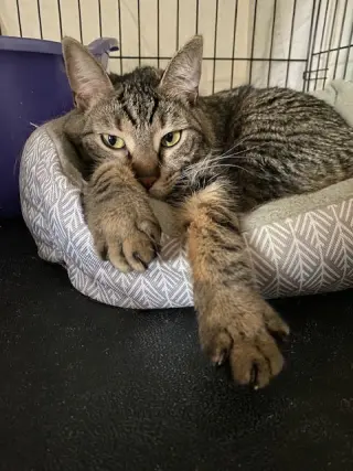 Eileen (Tripod & Gentle Hearted Warrior)