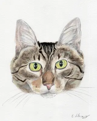 Eileen (Tripod & Gentle Hearted Warrior)