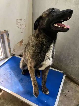 Knox - Located in New Mexico