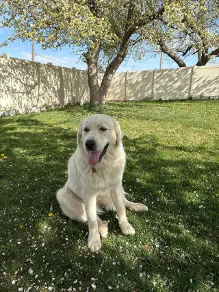 Miss Maggie