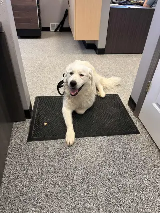 Miss Maggie