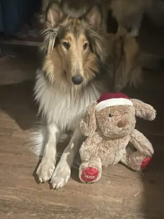 Duffy