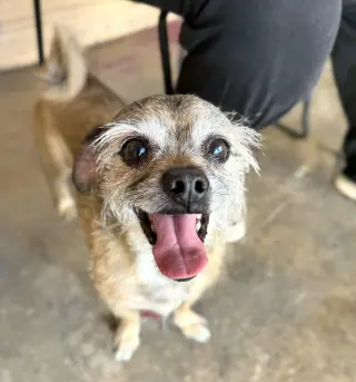 Chewy