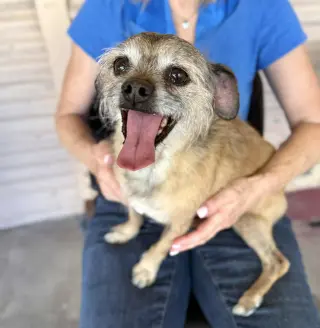 Chewy