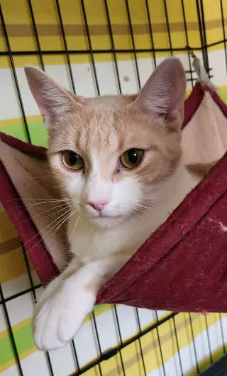 Mama