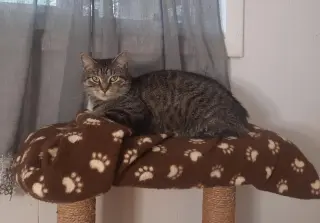 Ruby