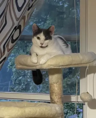 Merryweather