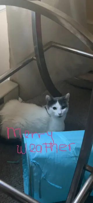 Merryweather