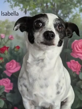 Isabella
