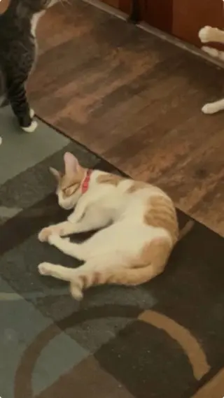 Butterball