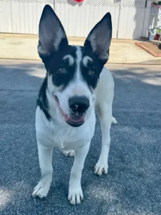 Bernie